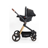 Coche + Moisés Travel System Aston (Gris)