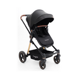 Coche + Moisés Travel System Aston (Gris)